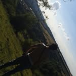 James Damms - @james.damms.5 - Instagram