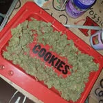 JD - @jamesdamms4 - Instagram
