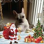 James Dannenberg - @jed58 - Instagram