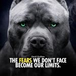 James Dano - @james.bossong.98 - Instagram