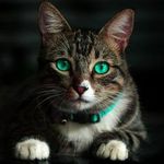 James S. Darrah - @jamess.darrah - Instagram