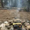 Darwin - @darwin.james1 - TikTok