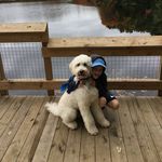 Dasher 🐾 - @dasherjamesyoung - Instagram