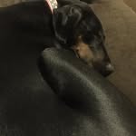 James Daugherty - @jdaugherty12506 - Instagram