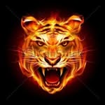 James Dawes - @james.dawes.3551 - Instagram