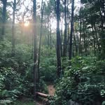 Đặng Ngọc Sơn - @jamesdawn.isme - Instagram