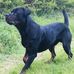 James Deakin - Facebook