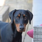 @jamesdearden212 - Instagram