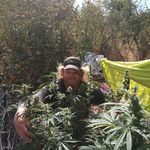 James Dearman - @dearman42085 - Instagram