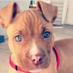 Kayden James Dearman - @1640kayden2580 - Instagram