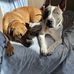 James DeCamp - Facebook