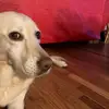 jamesdegeorge1 - @jamesdegeorge1 - TikTok