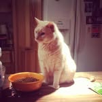 James Delp - @woadcat - Instagram