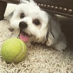 Ryan James Demaree - @ryanjdemareee - Instagram