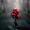 James Demos - @jdbiker.1 - TikTok