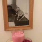 jamesdeputydogg - @jamesdeputydogg - Instagram