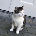 James Derks - @jamesderks_ - Instagram