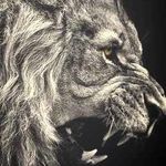 James Dermody - @jdermody007 - Instagram