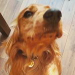Gareth James Derrig - @garethderrig - Instagram