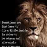 James Dice - @couragevibez3 - Instagram
