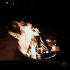 James Diel365 - @jamesdiel365 - TikTok
