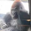 jamesdiemer8 - @jam_doesstuff - TikTok
