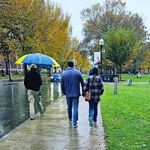 Chais James DiMaggio - @chaisdimaggio - Instagram