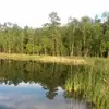 James Dishon mickey - @james.dishon.mick - TikTok