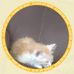 James Dittmar - Facebook