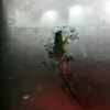 jamesdittmar905 - @jamesdittmar905 - TikTok