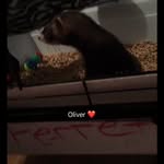 Aarin James Dotson - @dotsonaarinjames - Instagram