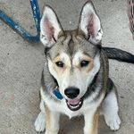 James Dotson - @james.dotson.357 - Instagram