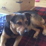 James Drysdale - @james.drysdale.45 - Instagram