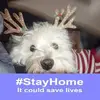 jamesdrysdale85 - @jamesdrysdale85 - TikTok