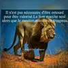 jamesducasse6 - @jamesducasse6 - TikTok