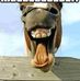 Jimmy Duignan - Facebook