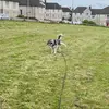 Dullaghanjames001 - @dullaghanjames001 - TikTok