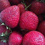 James Dummer - @kdfwtrfoa87983 - Instagram