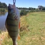 James Dundon - @dundon.james - Instagram