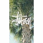 James Dundon - @james.dundon14 - Instagram