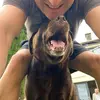 James dunne - @james.dunne68 - TikTok