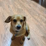 James Dungan - @james.it.guy - Instagram