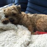 james dunnington - @jamesdunning10 - Instagram