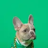 James Durell - @durrell679 - TikTok