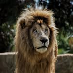 James Durke Photography - @james_durke_photography_ - Instagram