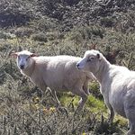 James Durkan - @mulungu_durkan - Instagram