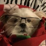 JesseJames Durocher - @jessejamesdurocher - Instagram
