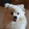 James Durrant - @jamesdurrant - TikTok