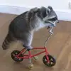 James - @james.dyal - TikTok