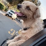 James Dysart - @james.dysart.180 - Instagram